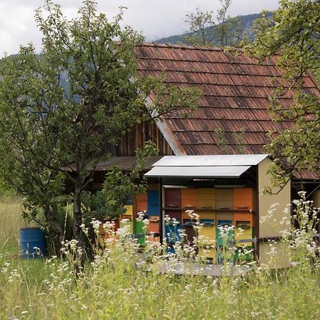 Apartma Petra Ravnik - Wanderer'S Hut Apartment Bohinj Exterior foto