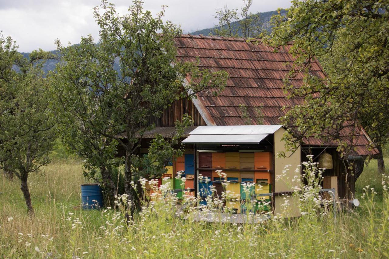 Apartma Petra Ravnik - Wanderer'S Hut Apartment Bohinj Exterior foto